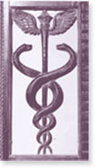 The Haelan Lifestream Center